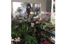 Photo of City Oasis Photo of City Oasis