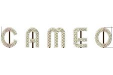 Photo of The Cameo Building Photo of The Cameo Building